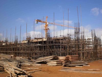 山东园林绿化养护工程造价解析 诚信合作，构筑绿色精品工程