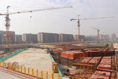 徐征一行调研阿里巴巴项目并召开工程总承包模式专题研讨会