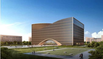 山西师范大学新校区建设工程资讯简报 市政公用工程进展